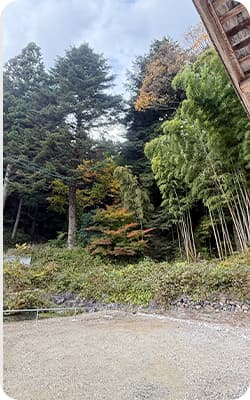 境内の様子